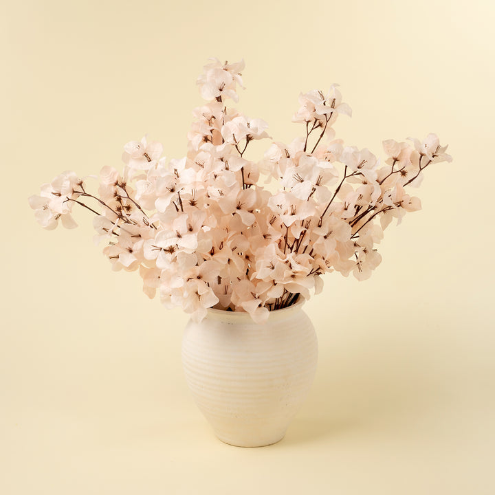 Bougainvillea Spray