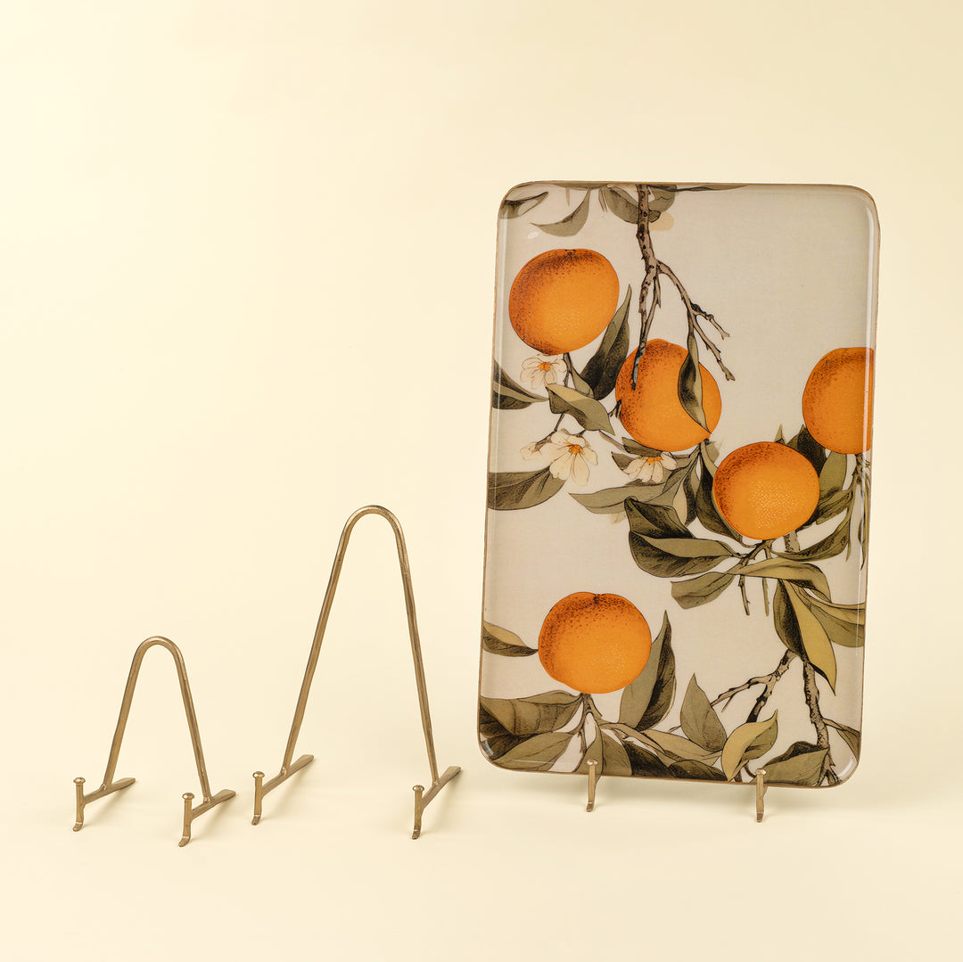 Arc Display Stand