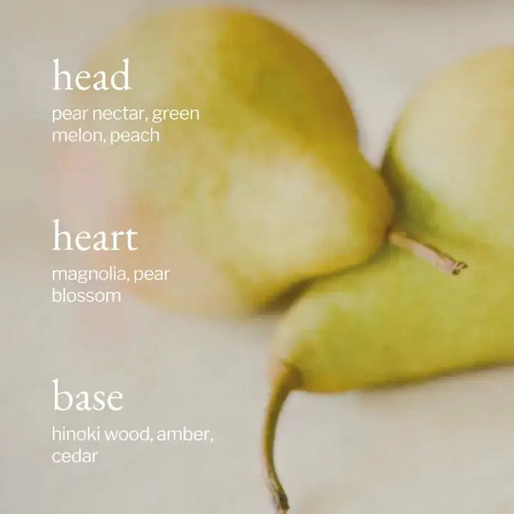 Liquid Dish Soap | Pear + Hinoki