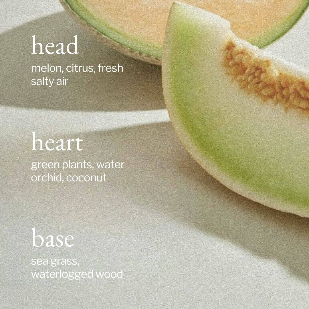 Car diffuser | Melon + Salty Air