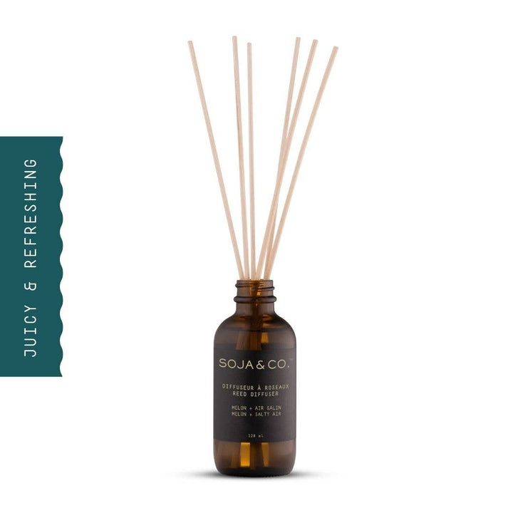 Reed Diffuser | Melon + Salty Air