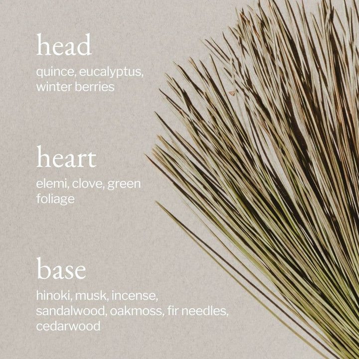 Reed Diffuser | Pine + Cedar Bark