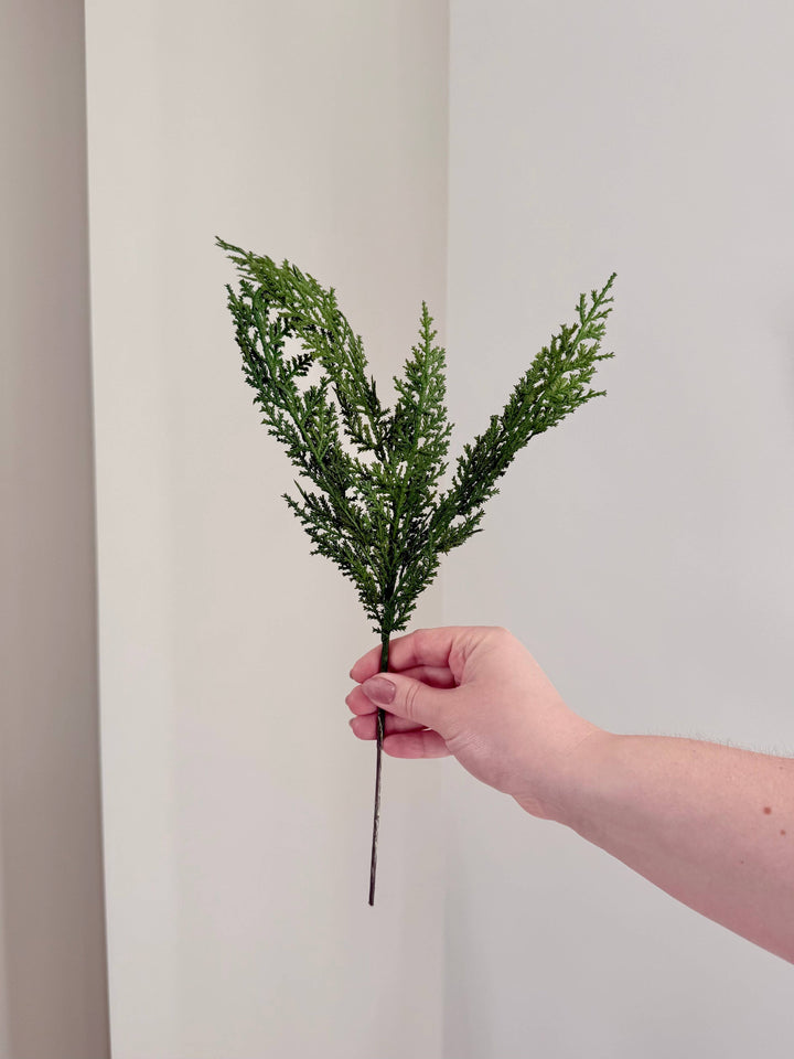 Norfolk and Cedar Bundles