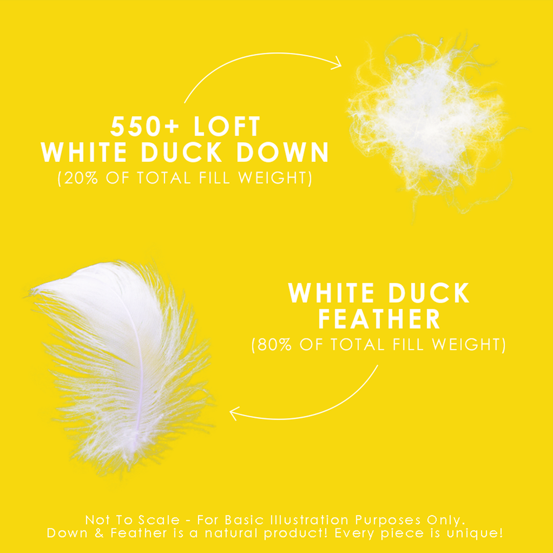 White Feather and Down Duvet