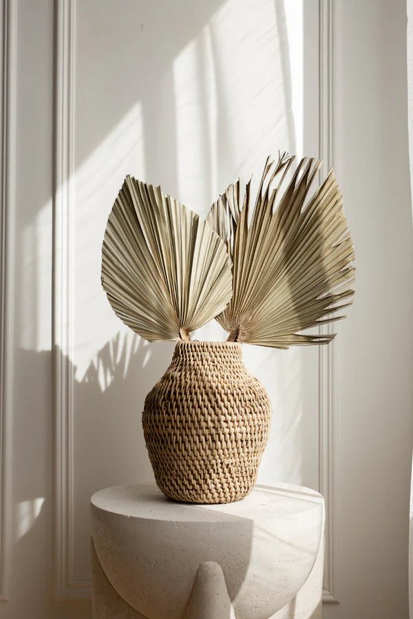 Dried Palm Leaf
