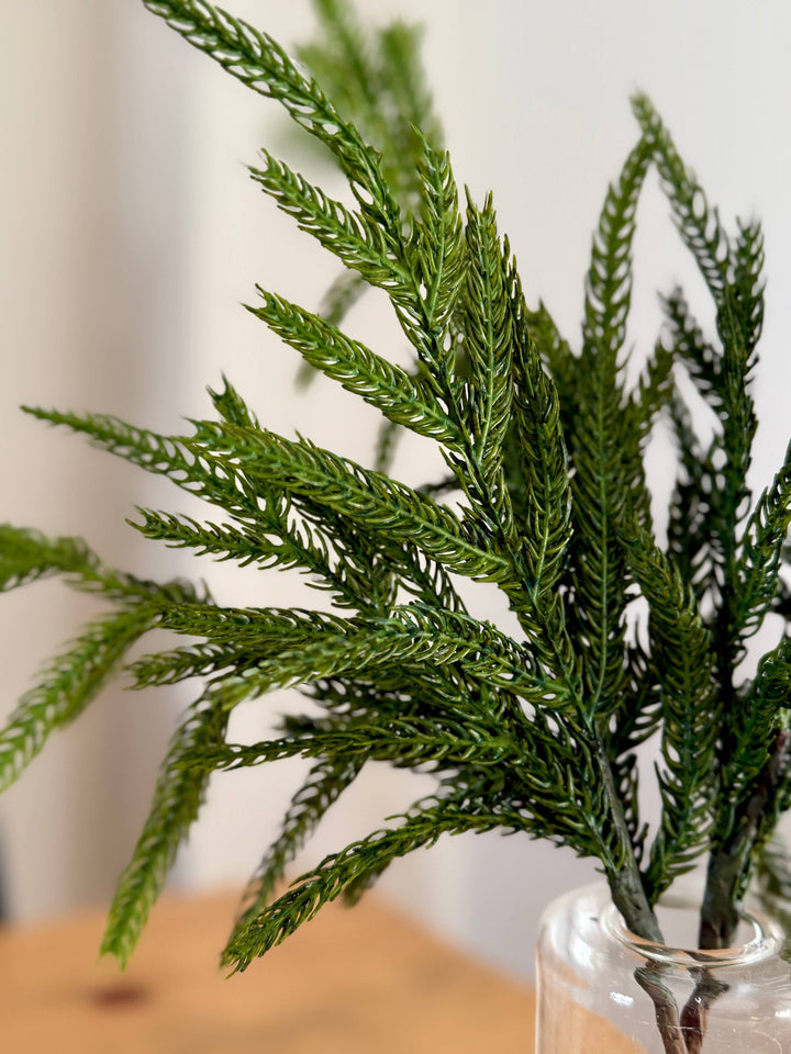 Norfolk and Cedar Bundles