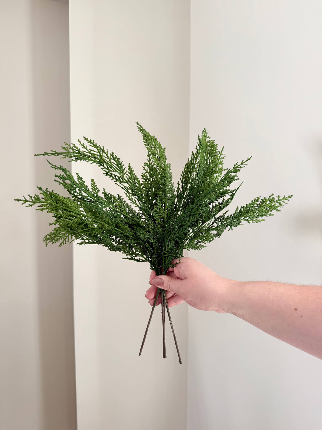 Norfolk and Cedar Bundles