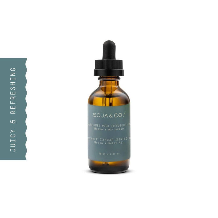 Car diffuser | Melon + Salty Air