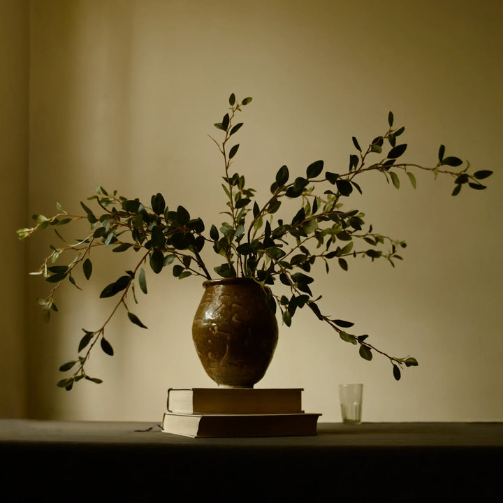 Creeping Willow Branch