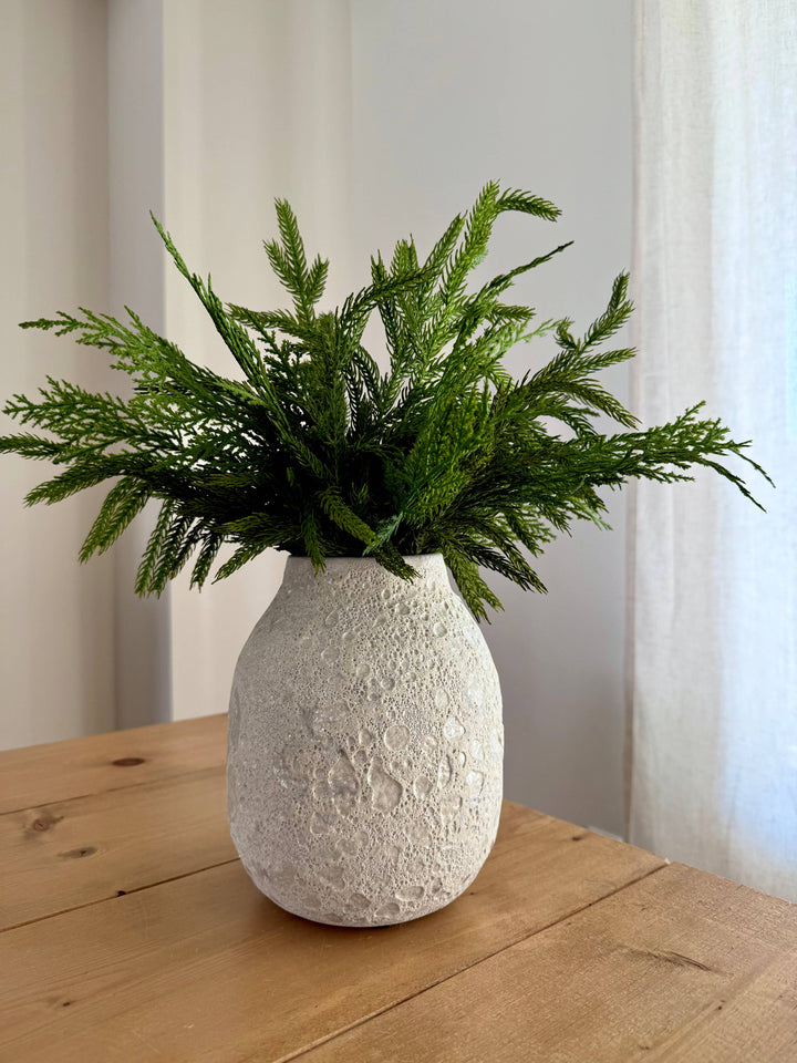 Norfolk and Cedar Bundles