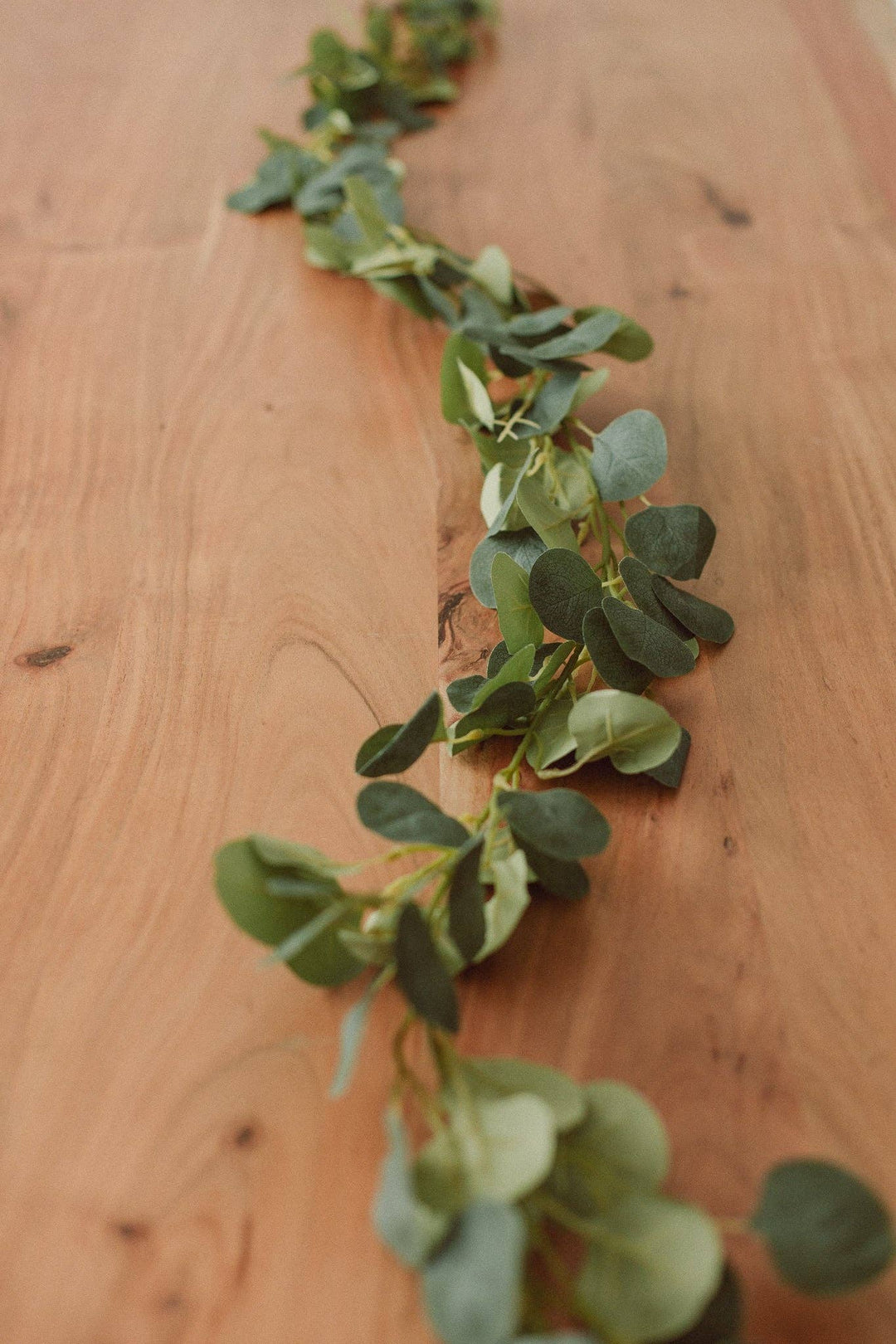 Standard Eucalyptus Garland