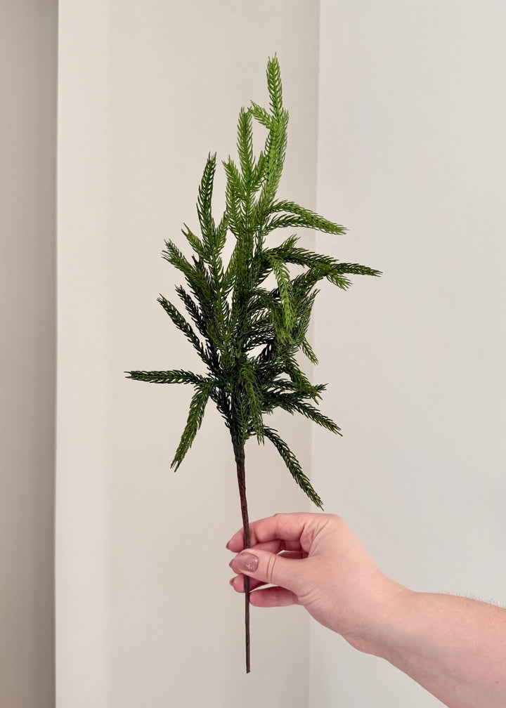 Norfolk and Cedar Bundles