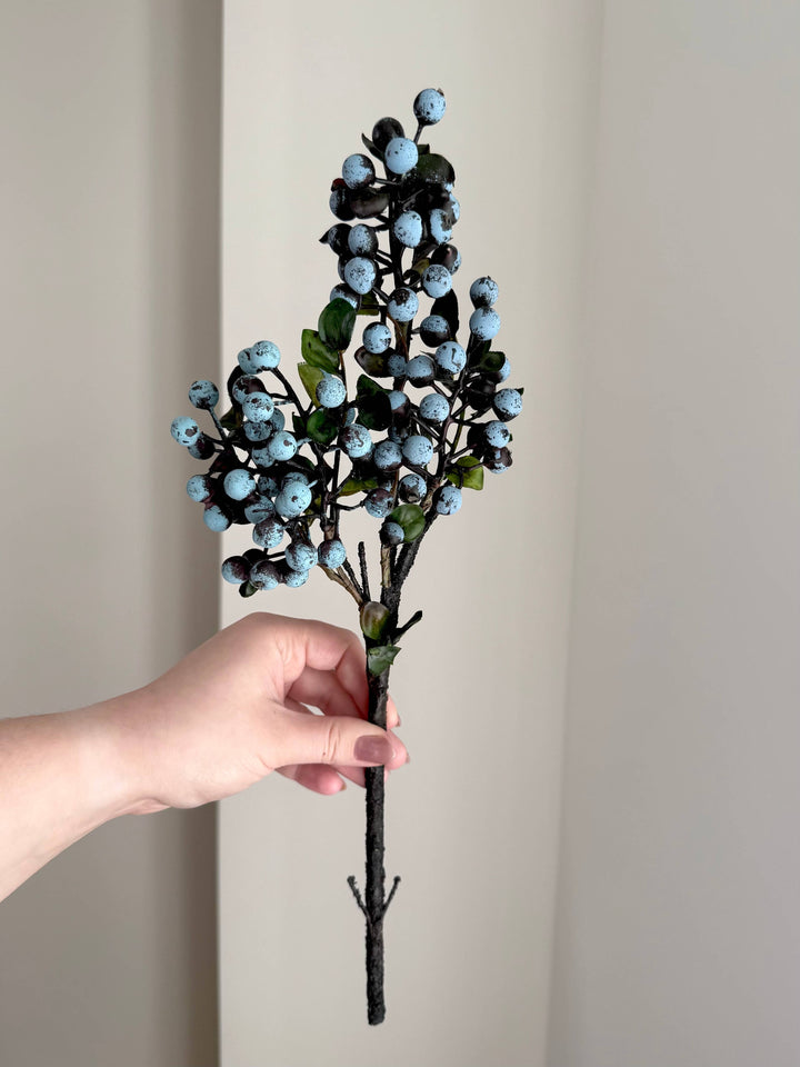 Blue Juniper Berry Stem