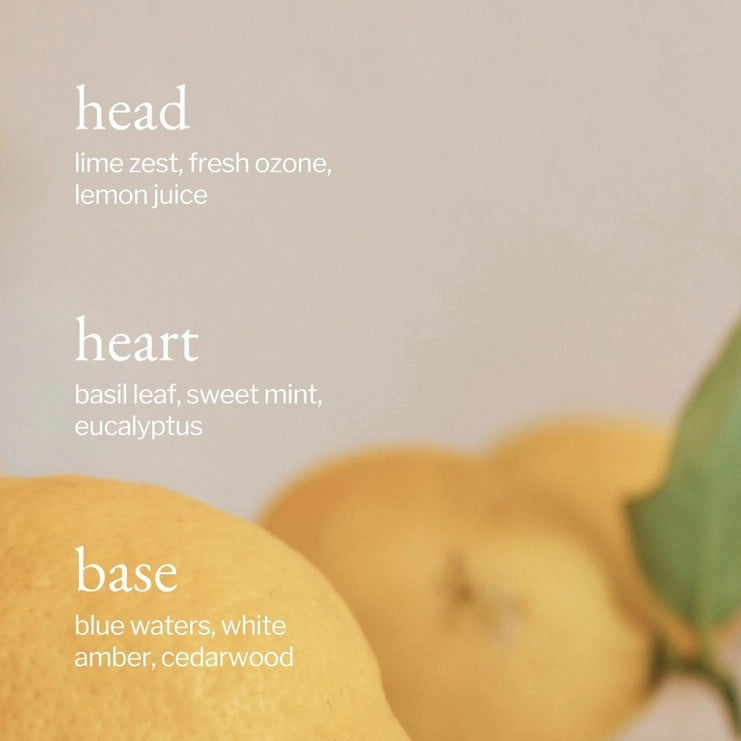 All Purpose Cleaner | Lemon, Sage & Rosemary